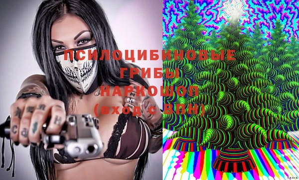 прущая мука Алзамай