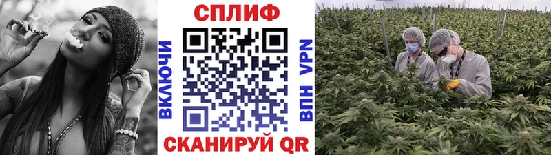 Бошки Шишки Amnesia нарко площадка клад Артёмовск купить цена
